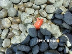 -乌石塘景区