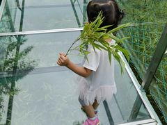 -陶祖圣境风景区