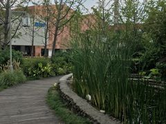 -活水公园