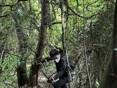 -达蓬山旅游度假区