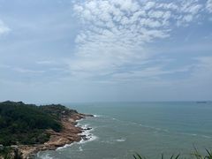 -广东惠东海龟国家级自然保护区