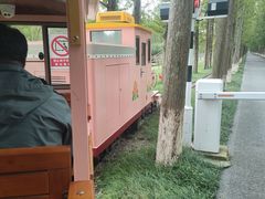 -黄海国家森林公园