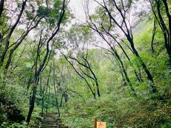-老象峰