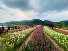 -径山花海