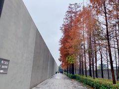 -侵华日军南京大屠杀遇难同胞纪念馆