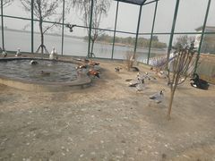 -武清南湖绿博园