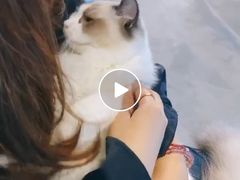 -零纪元VR体验馆·桌游(黄浦店)