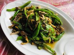 -阿巧茶庄