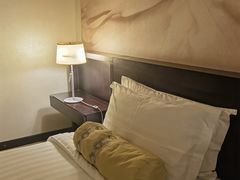 -国家会议中心大酒店