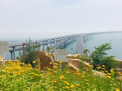 -星海湾跨海大桥