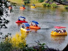 -枫香湖儿童公园