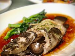 清蒸老虎斑-Yan Ting 宴庭中餐厅(上海静安瑞吉酒店)