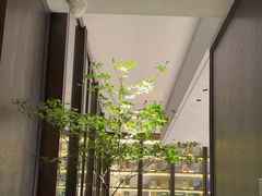 -怡情荟•海鲜青岛菜(五四广场旗舰店)