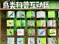 -上海佘山国家森林公园天马山园