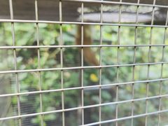 -东寨港红树林旅游区