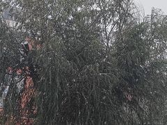 -长影旧址博物馆