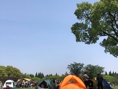 -上海滨江森林公园