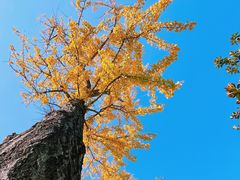 -苏州河梦清园环保主题公园