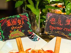 -大中华希尔顿酒店-念自助餐·嗨啤·小龙虾