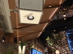 -桂满陇·海市蜃楼·黑金(国金店)