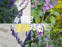 -蔡元培故居