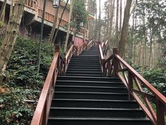 -天明山温泉大酒店