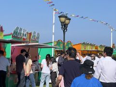 -野狸岛