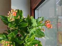 -百富源·海鲜辽菜(张士店)