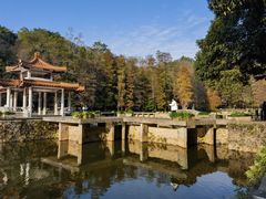 -深圳仙湖植物园