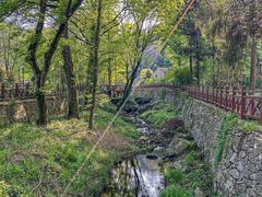 -素山寺森林公园