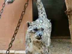 -青藏高原野生动物园