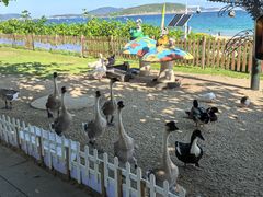 -三亚亚龙湾天域度假酒店