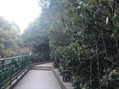 -宝莱纳啤酒花园餐厅PAULANER BRAUHAUS Nanjing(广州路店)