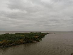 -洪湖湿地生态园