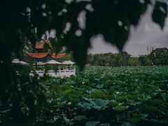 -翠湖宾馆·中餐厅