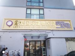 -宠爱国际动物医院·疑难骨科·心肾内科·皮肤科(太阳宫店)