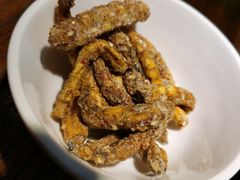 -中8楼风尚云南菜(颐堤港店)