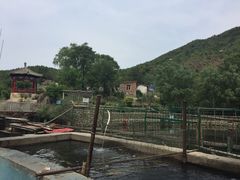 -双新垂钓园