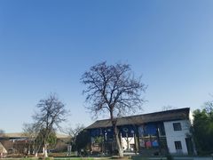 -田园东方蜜桃村的田野营地