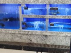 水产区-香山湖渔家大院