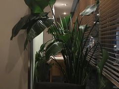 -新元素(丽都店)
