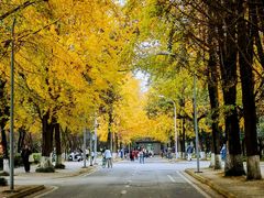 -四川大学(望江校区)