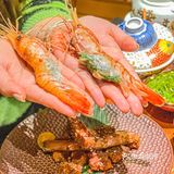 海鲜刺身控必看‼️这日料分分钟吃回本