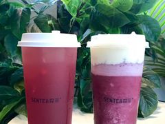 -SENTEA森茶(麦地丽日店)