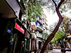 -老街无刺鲫鱼