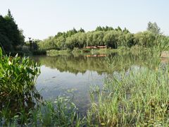 -新江湾城公园