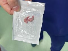-北京观赏动物医院·24小时大型综合·猫专科·异宠专科