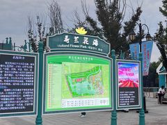 -荷兰花海
