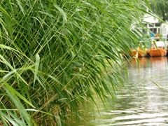 -白渔泡湿地公园