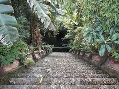 -成都老君山